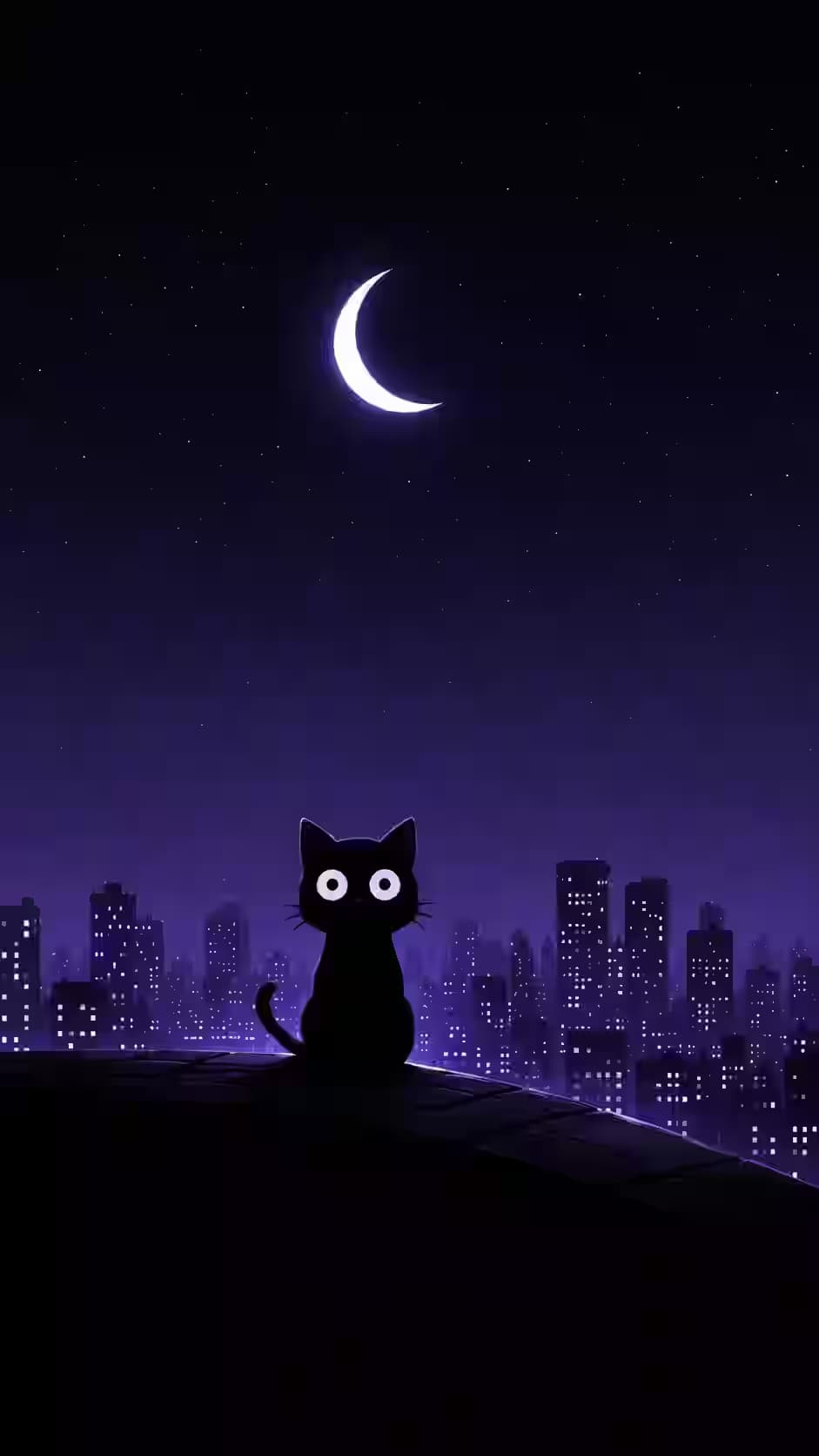 Midnight City Cat