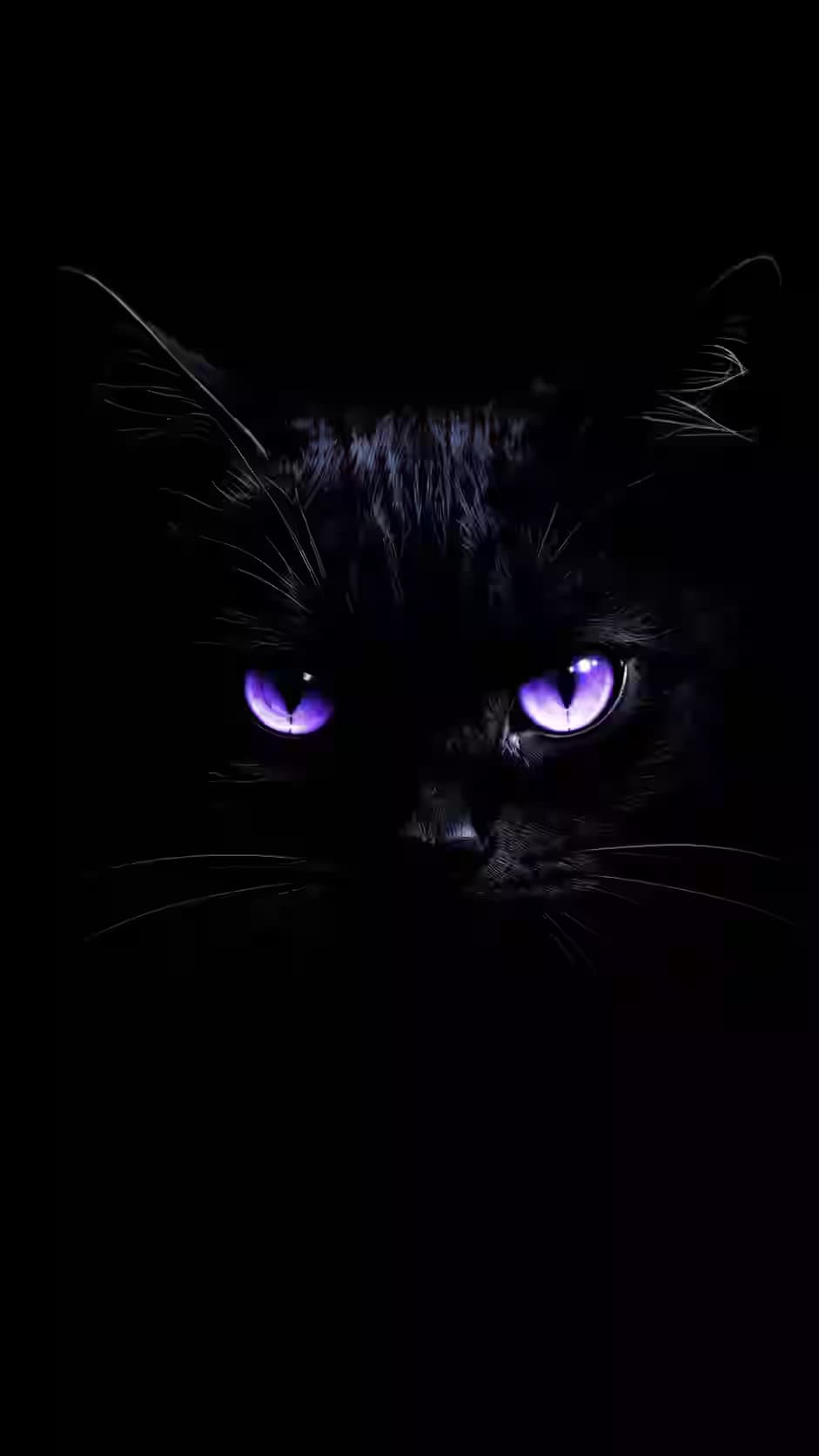 The Void Prowler - Violet Eye Cat Wallpaper Android — dark Android home screen wallpaper HD